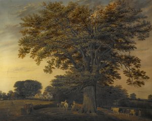 ビンリーオーク、1848 作： Edwin Brown