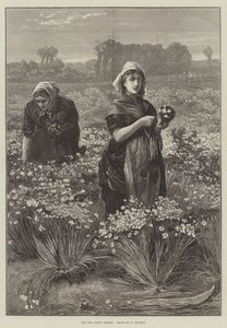 ロンドン市場のために（彫刻 作： Edwin Buckman