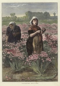 ロンドン市場のために 作： Edwin Buckman