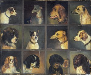 12匹の好きな犬、1883年 作： Edwin Frederick Holt