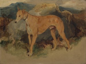 ディアハウンド、1826年。 作： Edwin Landseer