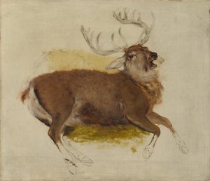 瀕死のクワガタ、ca。 1830年。 作： Edwin Landseer