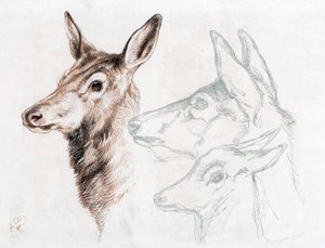 ランドシーア卿による図面のファクシミリ、1874年。 作： Edwin Landseer