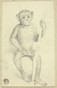 オランウータン