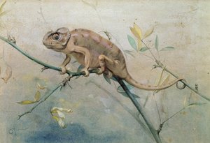 カメレオン、1901（紙にトイレ） 作： Edwin John Alexander
