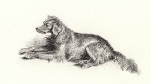 セッター犬 作： Edwin Landseer