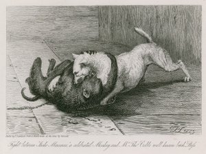 有名なサル、ジャッコマカッコとトーマスカブ氏の有名な雌犬、小娘との戦い 作： Edwin Landseer