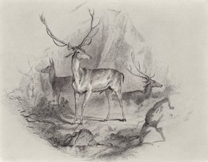 グレンで 作： Edwin Landseer