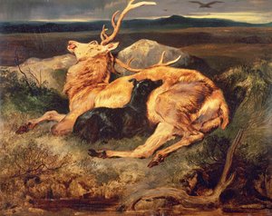男性だけの 作： Edwin Landseer