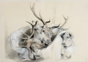 スタッグスの頭と犬、1857 作： Edwin Landseer