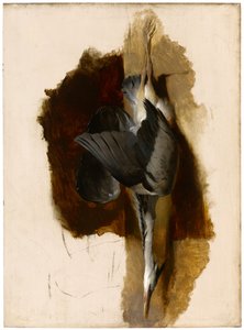 死んだサギの研究、1832-33年 作： Edwin Landseer