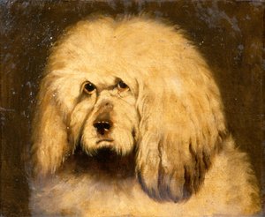 犬の頭の習作（油彩・キャンバス） 作： Edwin Landseer
