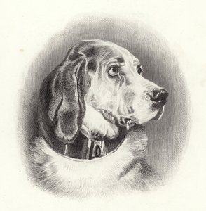ブラッドハウンド 作： Edwin Landseer