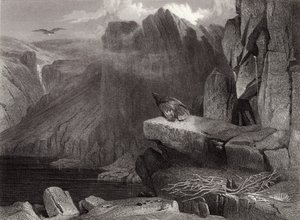 鷲の巣 作： Edwin Landseer