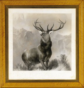 グレンの君主、1852 作： Edwin Landseer