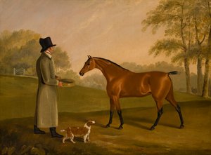 花婿のいる風景の中の馬、デビッド、ベネット、1805年頃（キャンバスに油彩） 作： Edwin W. Cooper