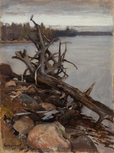  作： Eero Järnefelt