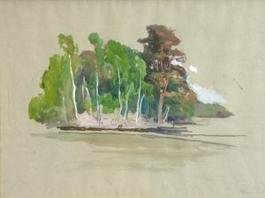 宦官の洗礼