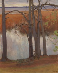  作： Eero Järnefelt