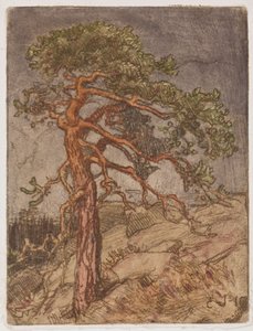  作： Eero Järnefelt