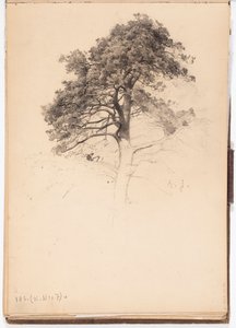  作： Eero Järnefelt
