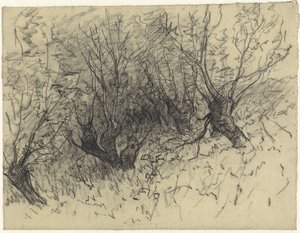 いくつかのポラード柳 作： Egbert Rubertus Derk Schaap
