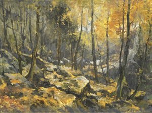 「フェルゼンメール」 作： Egbert Rubertus Derk Schaap