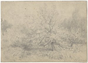 真ん中に木が目立つ風景 作： Egbert Rubertus Derk Schaap