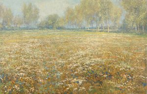 ブルームの草原 作： Egbert Schaap