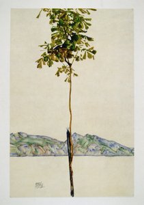 Baeumchen - ボーデン湖の栗の木 作： Egon Schiele