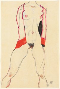 女性の胴;女性の胴、1913 作： Egon Schiele