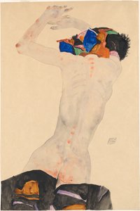 Rückenakt mit buntem Tuch 裸体を後ろから、色付きの布で、1911 年。 作： Egon Schiele