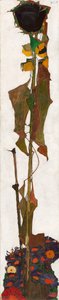 ひまわり、1909-1910。 作： Egon Schiele
