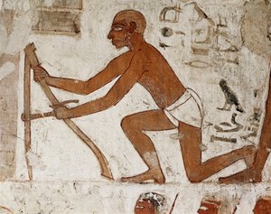 壁を作るために寸法を測る職人、ファラオ・トトメス3世とアメンフィス2世の時代にテーベの総督兼宰相を務めたレクミレの墓を飾るフレスコ画の細部（第18王朝、紀元前1500年から紀元前1292年）、墓（TT100）、ヴァル 作： Egyptian 18th Dynasty