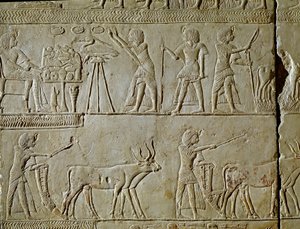 エジプトの古代遺跡：畑仕事やファラオへの捧げ物のシーン。ホレムヘド（紀元前1323-1293年頃）ツタンカーメンの王室書記官の墓から出土したレリーフの詳細。紀元前1354年から1326年。ボローニャ、シヴィコ・アルケオロジコ美術館