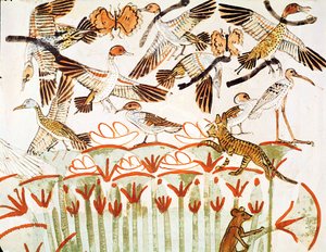 沼地での釣りと鳥の飼育、鳥の詳細、新王国、メナの墓礼拝堂（壁画） 作： Egyptian 18th Dynasty