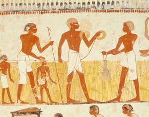 新しい王国、メナの墓礼拝堂からのロープを使用した土地の測定（壁画）（251666も参照）