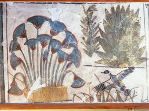 植物に挟まれた鴨を描いた絵（エジプト、エル・アワラ、アケナトン宮殿所蔵 作： Egyptian 18th Dynasty