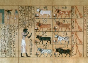 牛を描いたパピルス（マイヘルペリの死者の書より