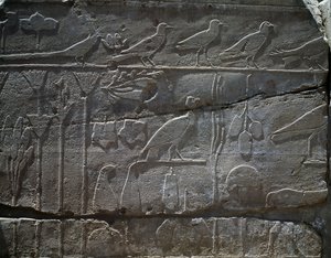 紀元前1465年、トゥトモセ3世のシリア遠征から持ち帰られた動植物、レリーフの詳細、いわゆる植物園として知られるホール、アメン神殿、カルナック神殿群、エジプト文明、新王国時代、第18王朝時代 作： Egyptian 18th Dynasty