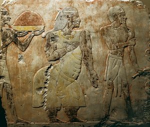 プントの女王、詳細 作： Egyptian 18th Dynasty