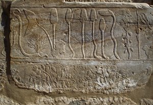 紀元前1465年、シリア遠征から帰還したトゥトモセ3世がアムンに捧げた動植物のレリーフ、植物園の間、カルナック、テバン・ネクロポリス、ルクソール、エジプト、新王国時代、第18王朝 作： Egyptian 18th Dynasty