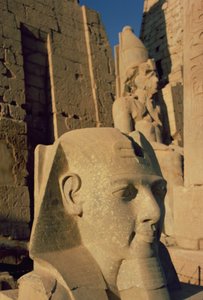 ラメセス2世の巨大なヘッド（紀元前1298〜32年）ニューキングダム 作： Egyptian 19th Dynasty