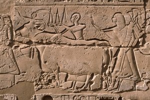 牛を率いる男たちを描いたレリーフの詳細 ラメセス2世（紀元前1298～32年）の中庭（石灰岩 作： Egyptian 19th Dynasty