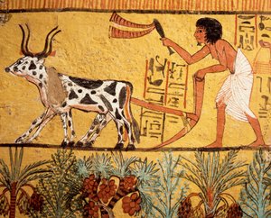 エジプト、古代テーベ、デイル・エル・メディナ、セネデジェムの墓、イアルの畑を耕すセネデジェムを描いた壁画