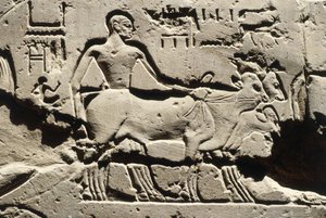 エジプト 古代エジプト、ルクソール、ルクソール神殿、ラムセス2世の中庭、浮き彫り、新王国時代、第十九王朝（紀元前1290～1224年） 作： Egyptian 19th Dynasty