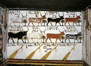 エジプト、テーベ、ルクソール、王妃の谷、ネフェルタリの墓、控えの間の別館、壁画、死者の書の挿絵、第89章 作： Egyptian 19th Dynasty