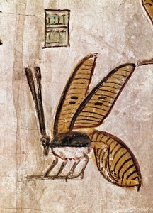 エジプトの芸術。セティ1世の墓（セティ1世またはセティ1世、-1294年から-1279年までの政権）。蜂の詳細。エジプト、ナイル川左岸のルクソール（王家の谷のテーベ跡）の19王朝フレスコ画。- 古代エジプト。セティ1世の墓（セティ1世とセティ1世、治世は 作： Egyptian 19th Dynasty