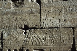 古代テーベ、ルクソール、アメン神殿、レリーフ（ユネスコ世界遺産リスト 作： Egyptian 19th Dynasty