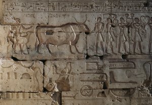 レリーフ、ラムセス2世神殿、アビドス、エジプト、エジプト文明、新王国時代、第19王朝（写真） 作： Egyptian 19th Dynasty